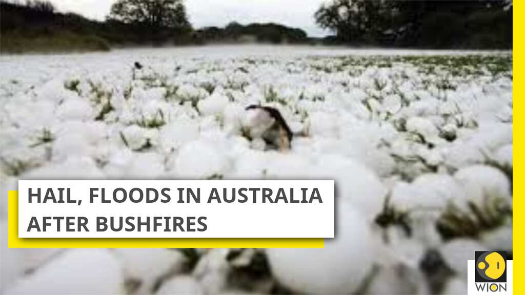 Thunderstorm unleashes hail in Australia, No refuge after bushfires