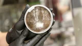 Mushrooms can be used to construct habitats on Mars: NASA