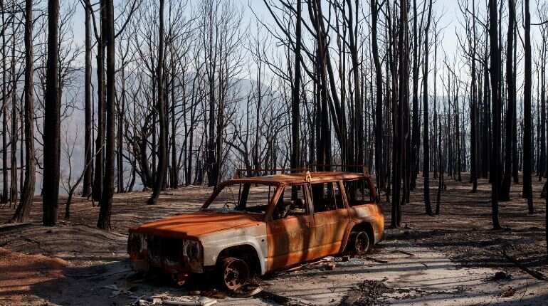 Indigenous Australians say traditional land burning could help counter bushfires Indigenous Australians say traditional land burning could help counter bushfires
