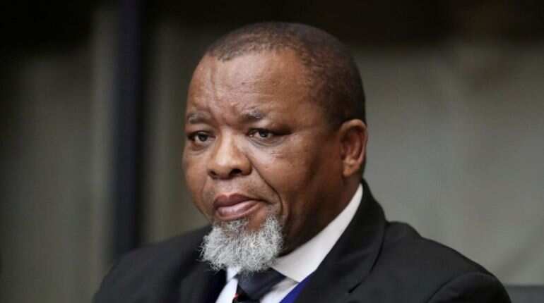 Mine deaths fell to record low last year: South African ministry Mine deaths fell to record low last year: South African ministry