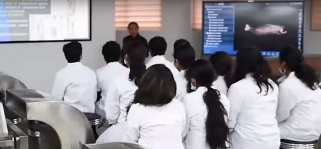 Wuhan virus: Indians trapped in China | Gravitas