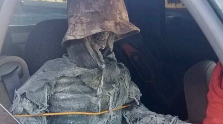 United States driver disguises skeleton to drive in car-sharing lane