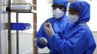 Experts say bats could be behind deadly coronavirus outbreak