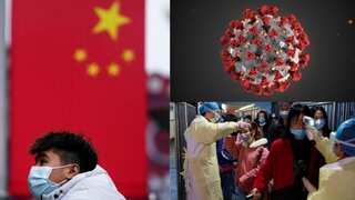 Top 10 world news today: Coronavirus outbreak, Djokovic clinches Australian Open title and more