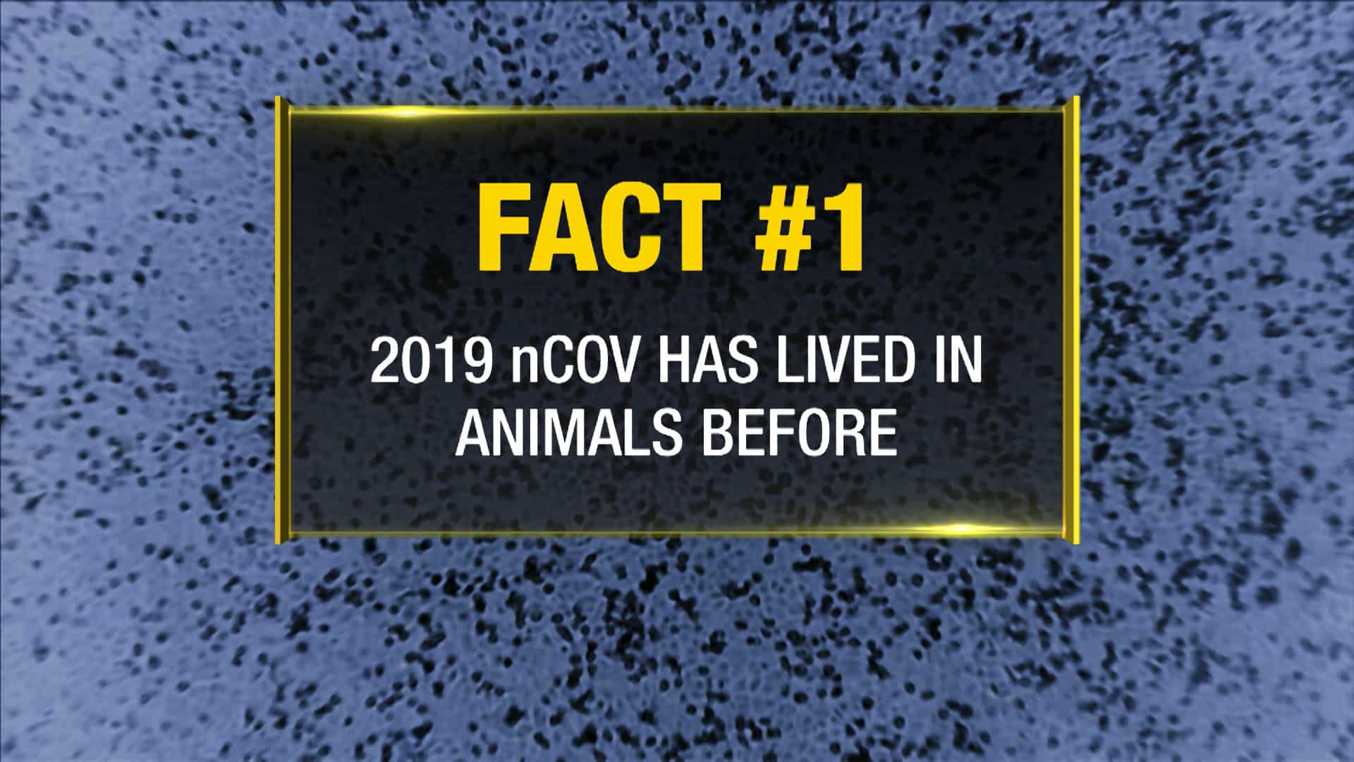 Fact #1