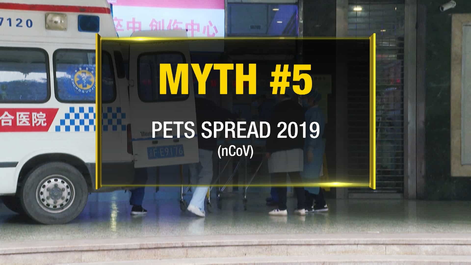 Myth #5