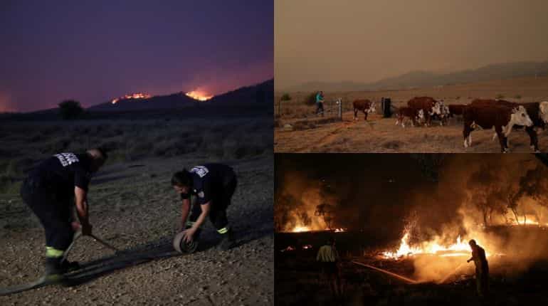 Excess smoke and dust trigger health warnings from Australian government; Canberra on fire alert Excess smoke and dust trigger health warnings from Australian government; Canberra on fire alert