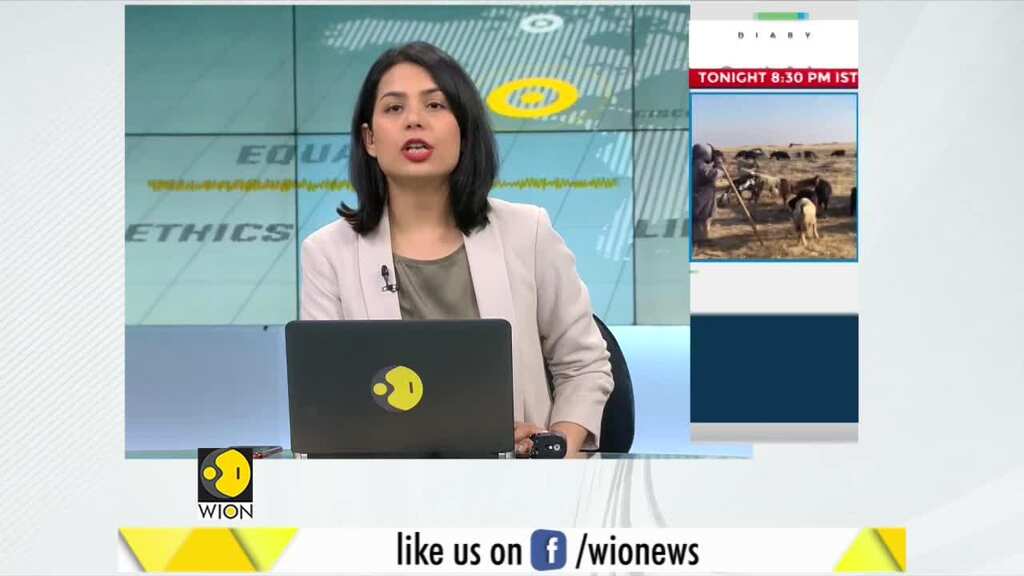 WION Fineprint: Climate change hits Pakistan chillies