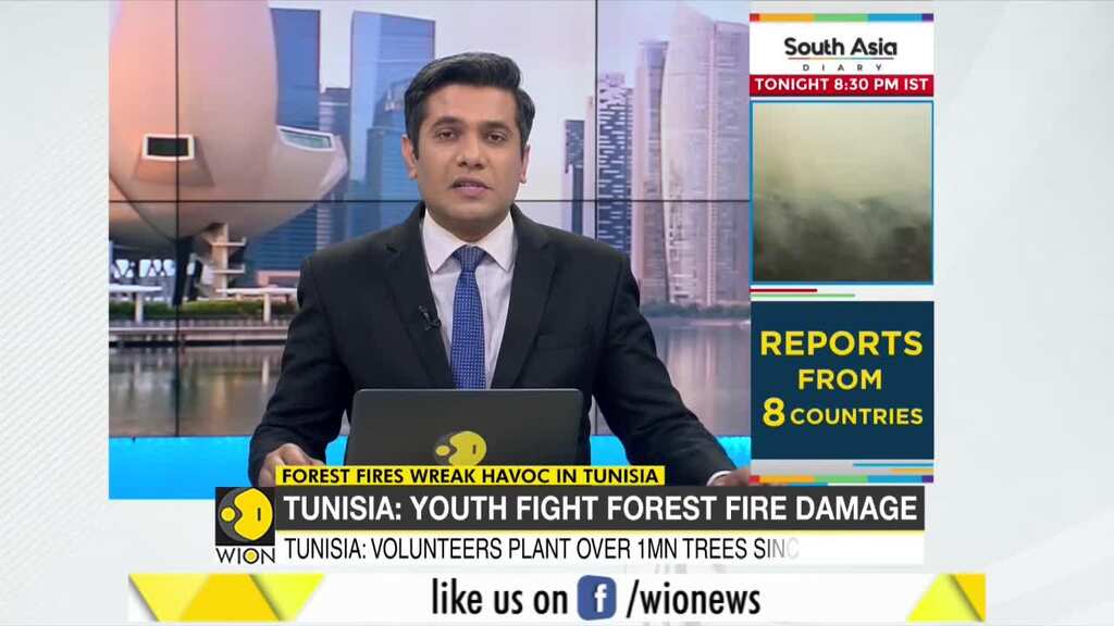Tunisia's tree volunteers to the rescue