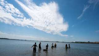 'Disappearing' Vaan Island puts India's biodiversity at risk, hits local tourism