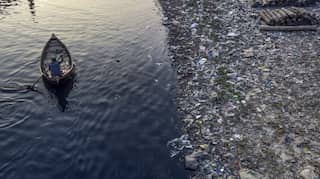 All plastic ever produced still exists in the environment: Report