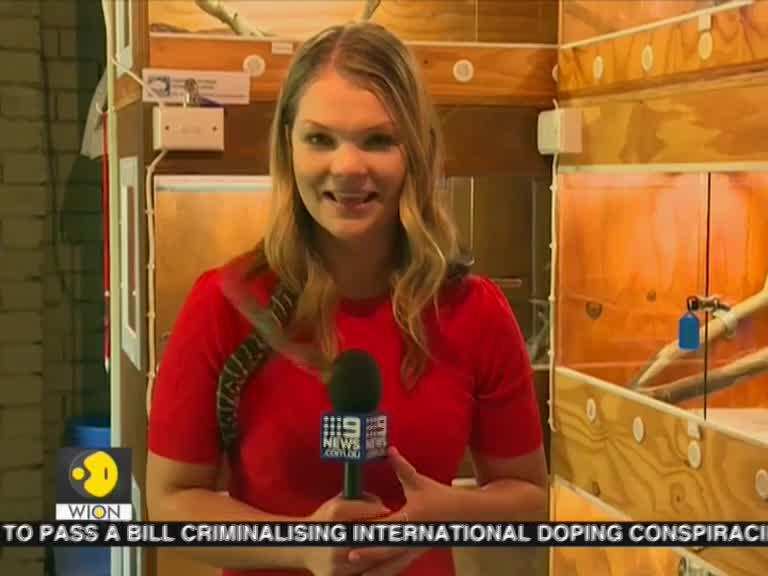 Australia : Python Steals The Show