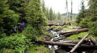 Haida Gwaii: Pristine Canadian remote islands where only 12 tourists are allowed at a time 