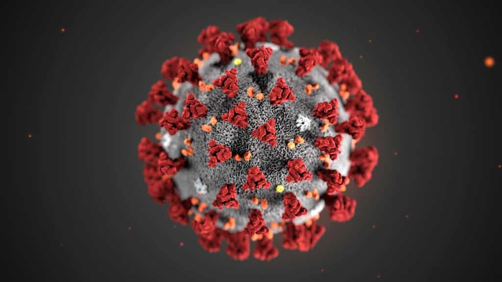 Coronavirus deaths exceeds that of SARS
