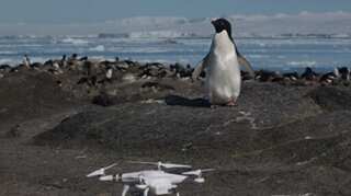 A warning on ice sheets collapse at both poles in new study