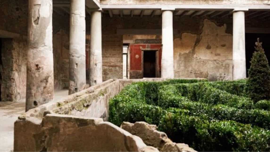 Domus