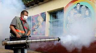 Dengue outbreak in Latin America as 12 die in Peru