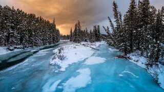 Three dead after glacier tour bus rolls over in Canada