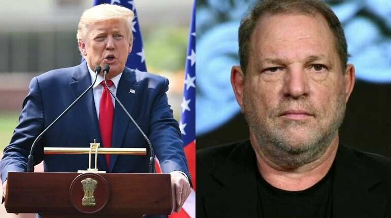 US President Donald Trump hails Harvey Weinstein's conviction US President Donald Trump hails Harvey Weinstein's conviction