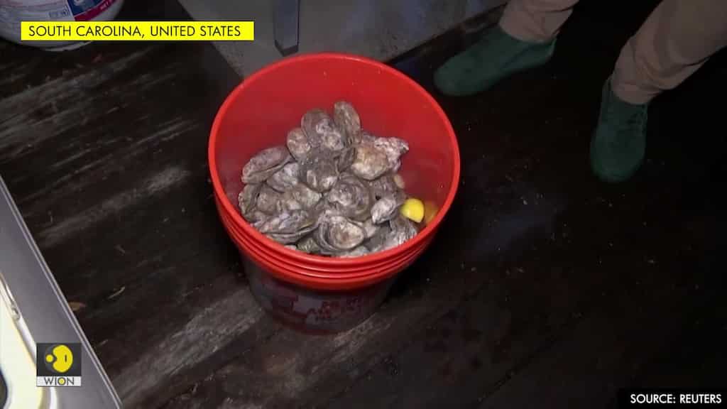 Oysters and politics on the menu in South Carolina