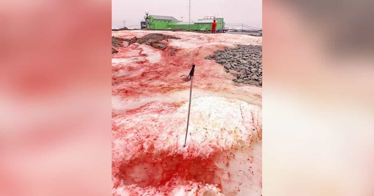 latest sign of climate change