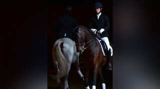 UK's $2.3 million horse racing league to introduce whip restrictions