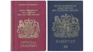 UK passport to return to iconic blue colour