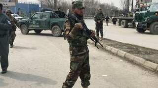 Forces kill 13 militants in Afghanistan's easter Logar province