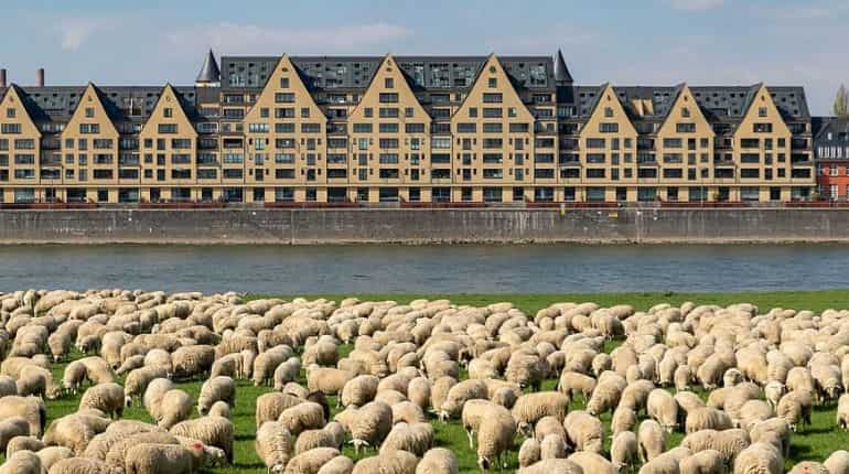 Western Germany's North Rhine-Westphalia infected the most