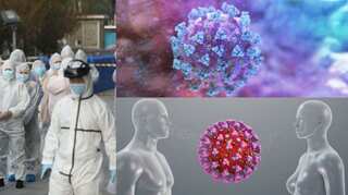 Human trial of coronavirus vaccine to begin, says official