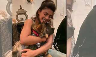Priyanka Chopra enjoys quality time with her German Shepherd Gino