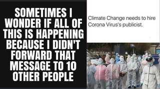Coronavirus: Memes, tweets and illustrations to get you through quarantine