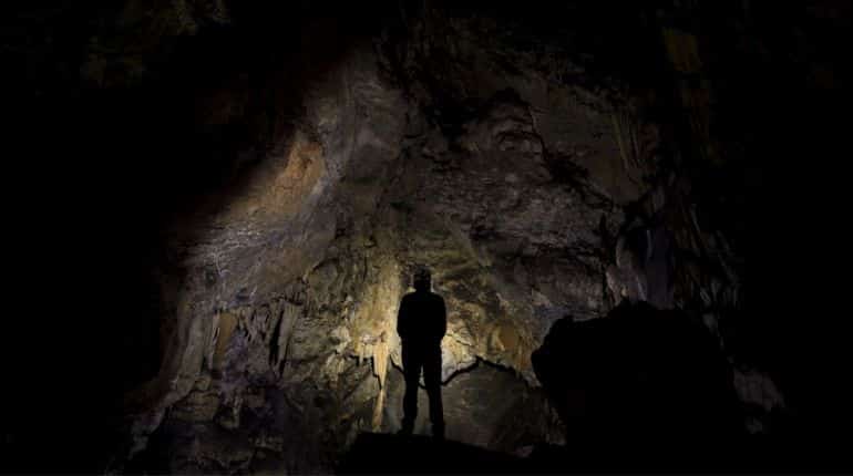 Have scientists found the ancestor of all living beings? Have scientists found the ancestor of all living beings?