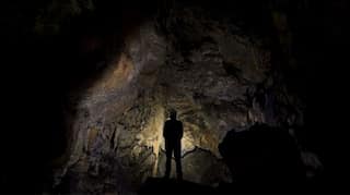 Have scientists found the ancestor of all living beings?