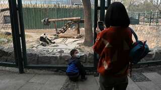 Beijing returns to normal as people flock to the zoo