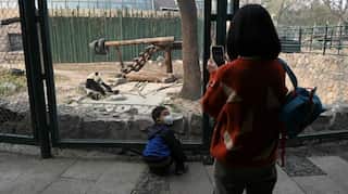 Beijing returns to normal as people flock to the zoo