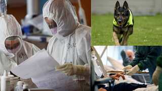 Morning news brief: Global cases cross 500,000; dogs to sniff out COVID-19, and more!