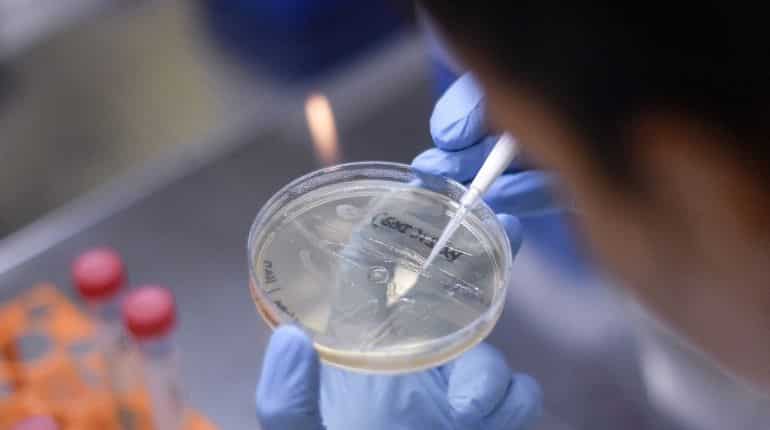 Glenmark's shares rise up to 40% following launch of potential coronavirus drug