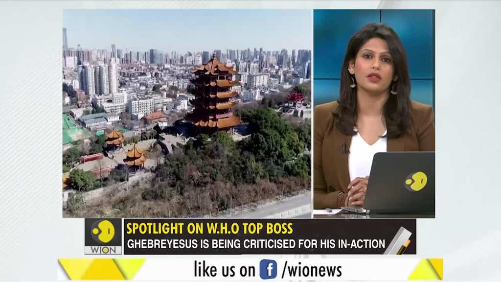 Gravitas: Demand grows for W.H.O Boss' resignation