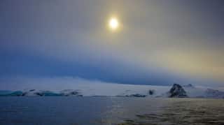 Scientists discover life where it shouldn't exist in Antarctica