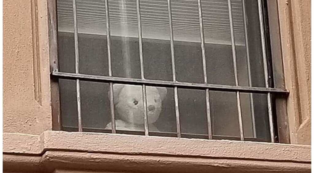 Teddy bears to rescue as people keep children occupied with 'Bear Hunt' amid COVID-19 lockdown