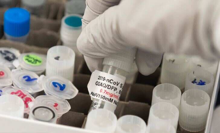 India's battle against COVID-19 Pandemic: BCG vaccine to offer COVID-19 protection