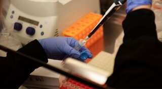 Trial suggests malaria sickness could be cut by 70 per cent