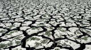 Recent droughts and heatwaves in Europe worst in 2,000 years, study claims