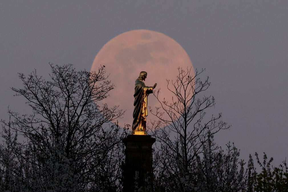 Sprouting grass moon