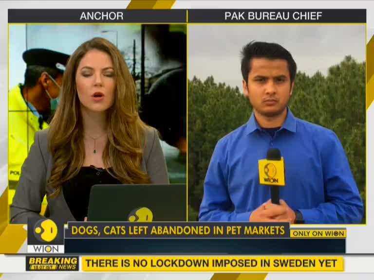 Animals starve to death in pet markets due to COVID-19 outbreak in Pakistan