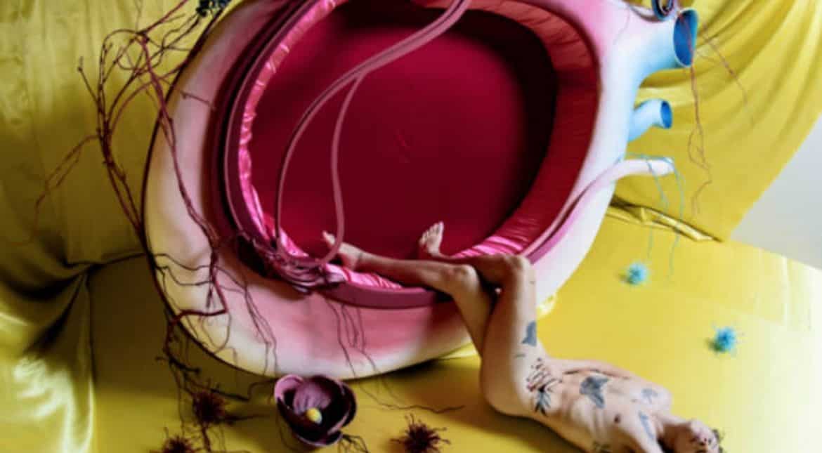 Harry Styles - Fine Line