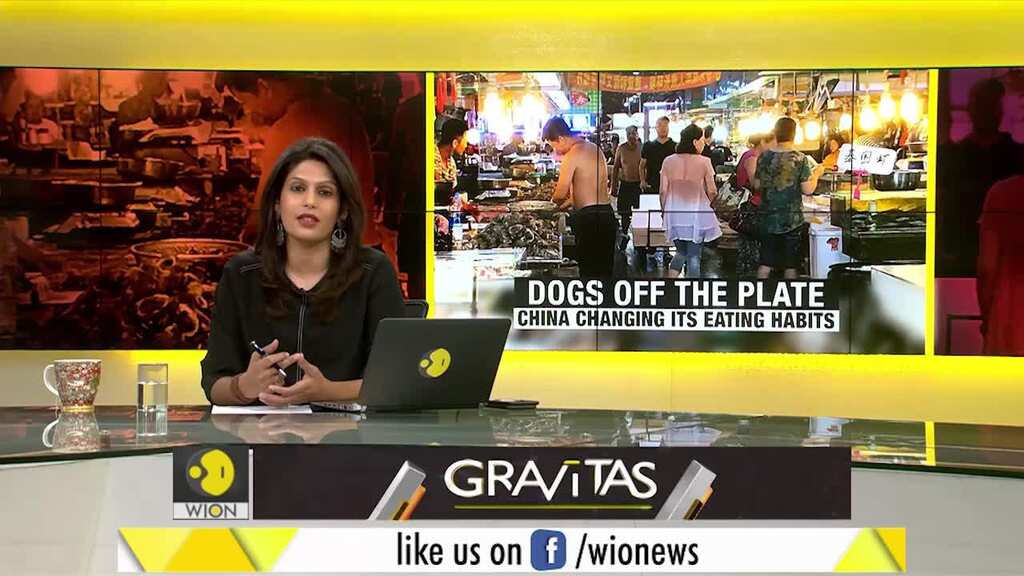 Gravitas: Will China change its eating habits? | Wuhan Coronavirus