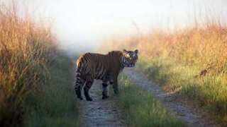 Jim Corbett is India's first quarantine facility for animals