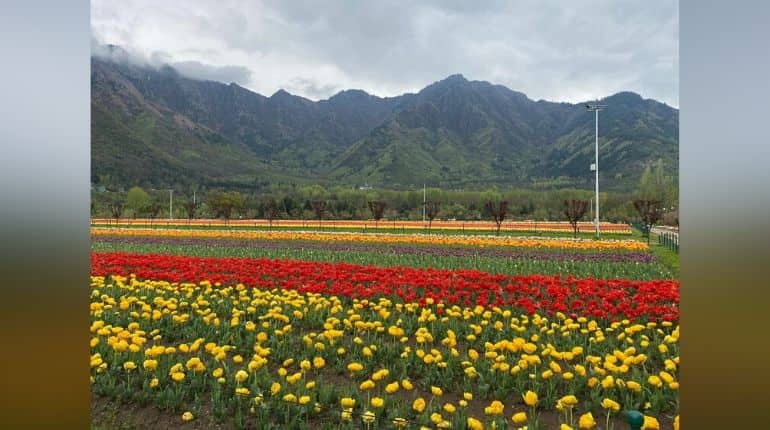 Kashmir known for its beauty